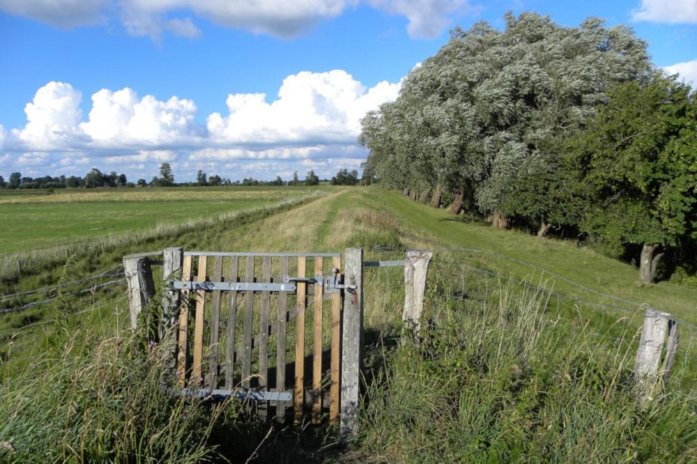 Ferienhof-Eiderdeich Wohnung Hertha Delve Buitenkant foto